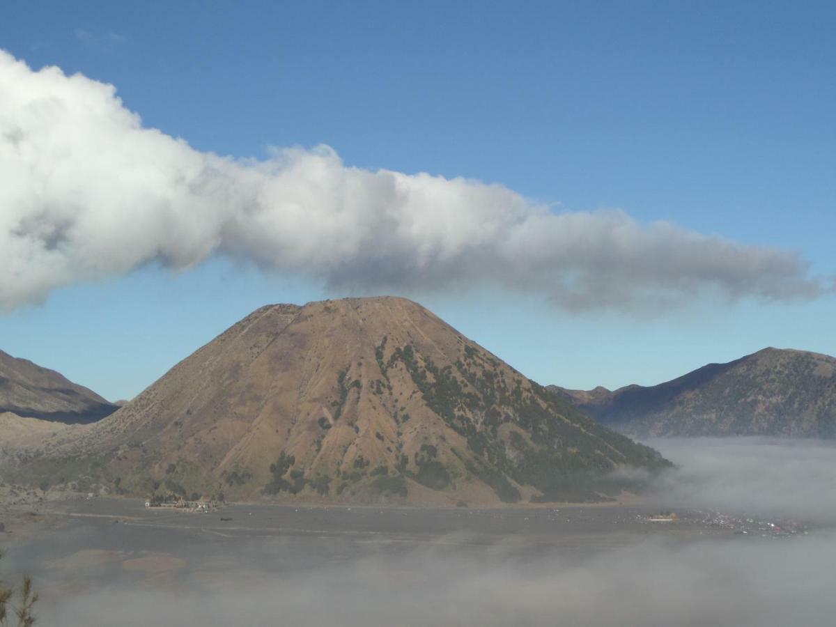 Tengger Indah Homestay Bromo Exterior photo