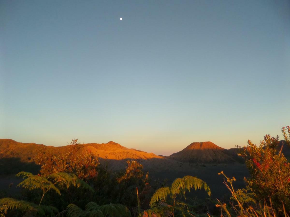 Tengger Indah Homestay Bromo Exterior photo